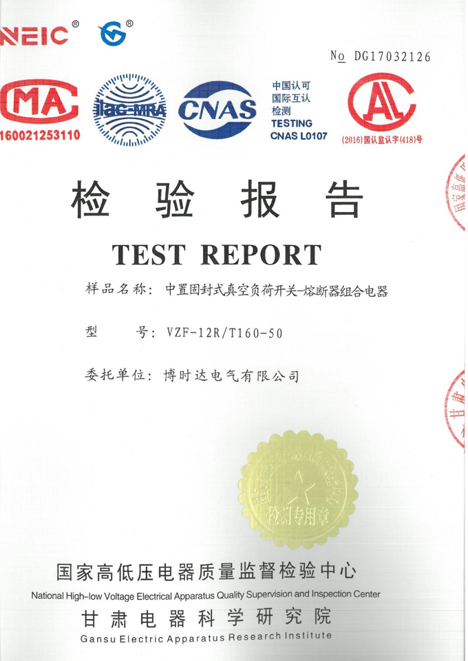 VZF-12R/T160-50中置固封式真負荷開關(guān)(檢驗報告)